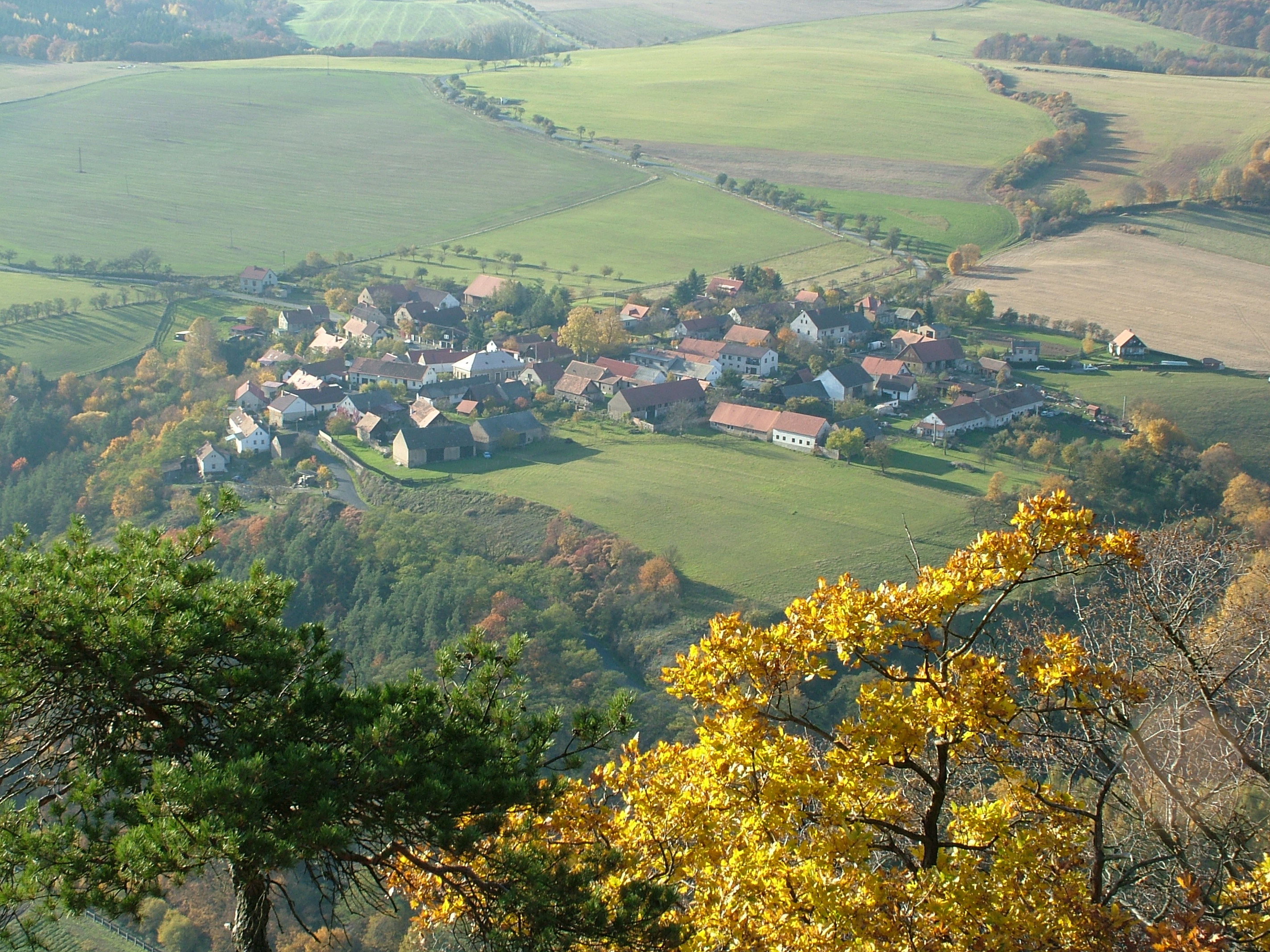 obec Týřovice